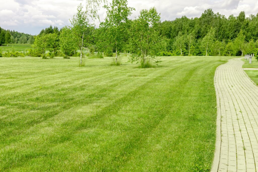 How long after trugreen can I mow