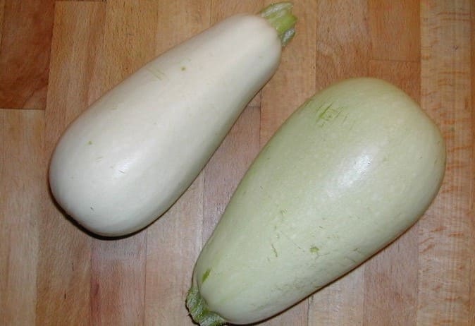 White Squash Varieties