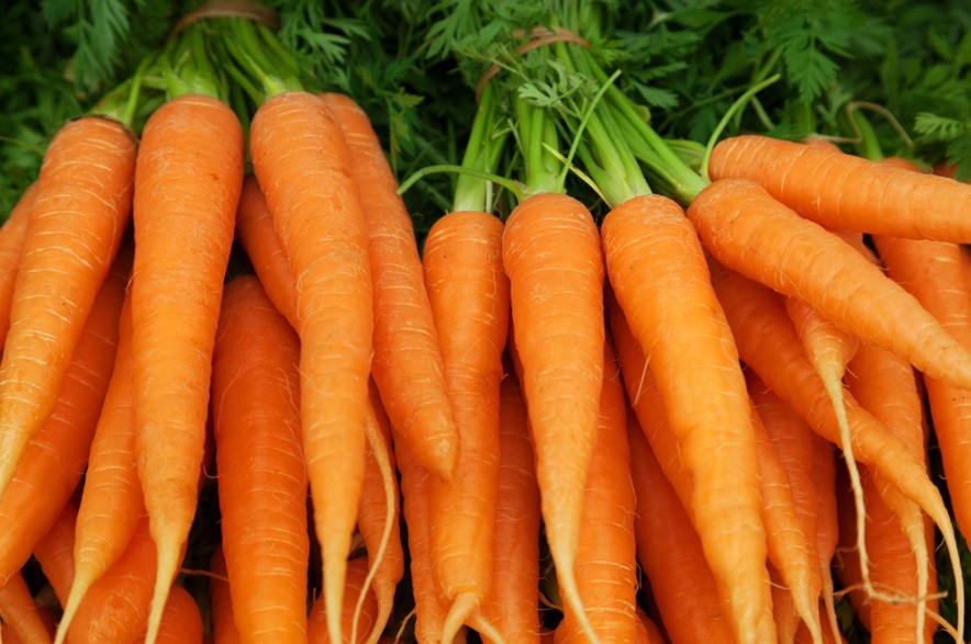 Are Carrots a Fruit or a Vegetable