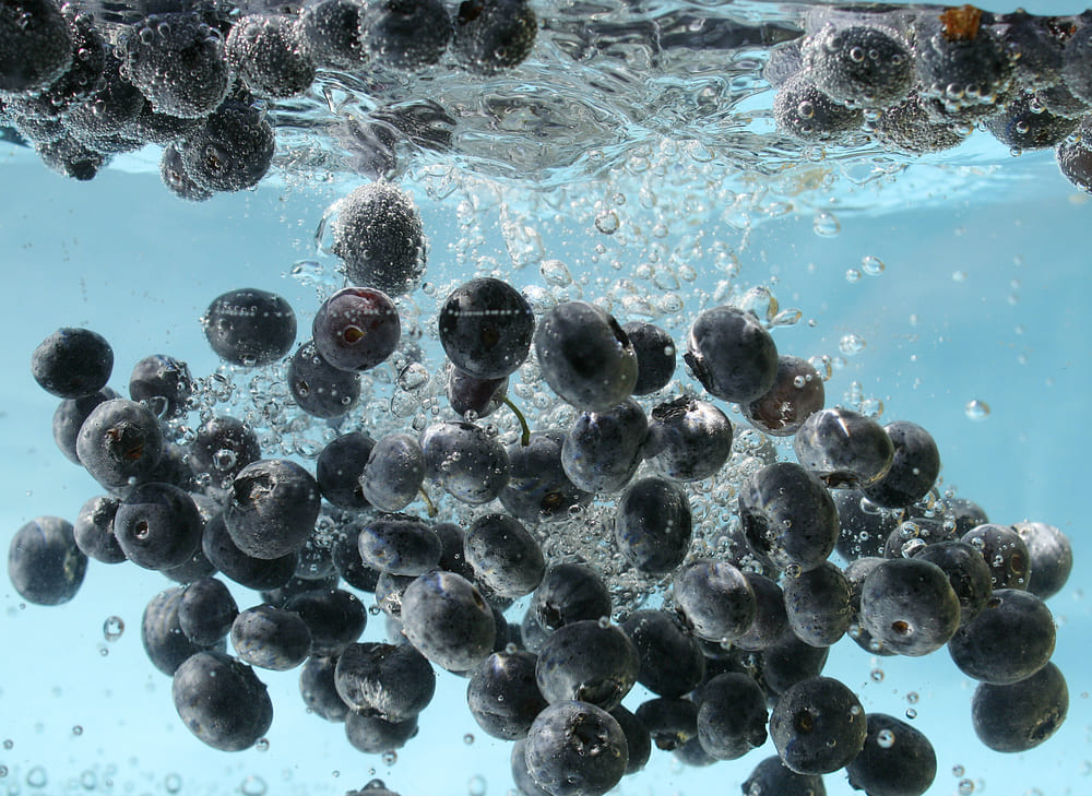 Blueberries Sink or Float