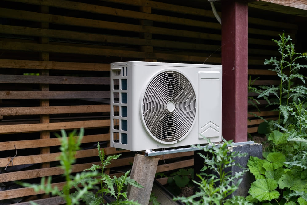 evergreens to plant near air conditioner