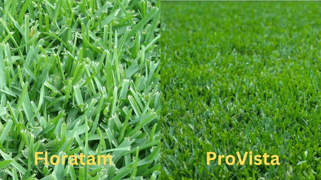 Floratam or ProVista