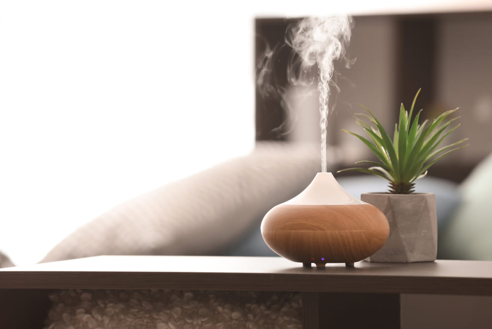 Can a Diffuser be Used as a Humidifier for Plants